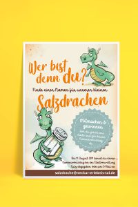 Plakat Namenswettbewerb Salzdrache